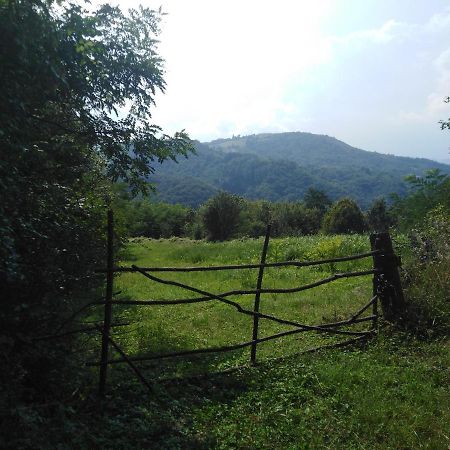 Guesthouse Smiljanic Slavkovica Kültér fotó