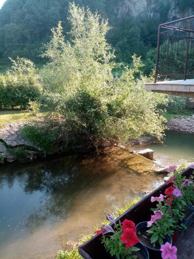 Guesthouse Smiljanic Slavkovica Kültér fotó