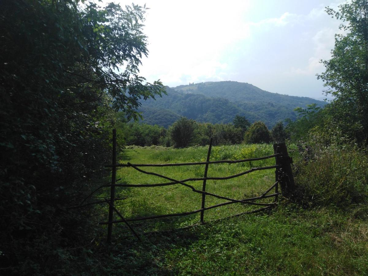 Guesthouse Smiljanic Slavkovica Kültér fotó