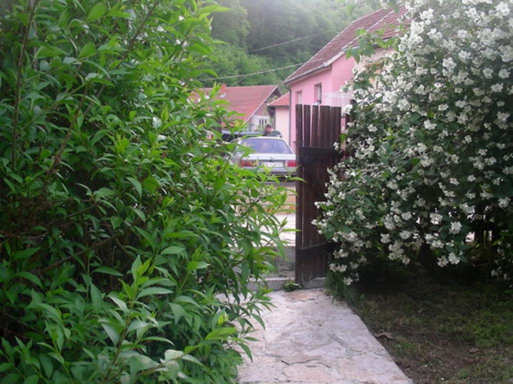 Guesthouse Smiljanic Slavkovica Kültér fotó